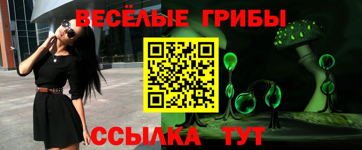 Псилоцибиновые грибы прущие грибы Лыткарино